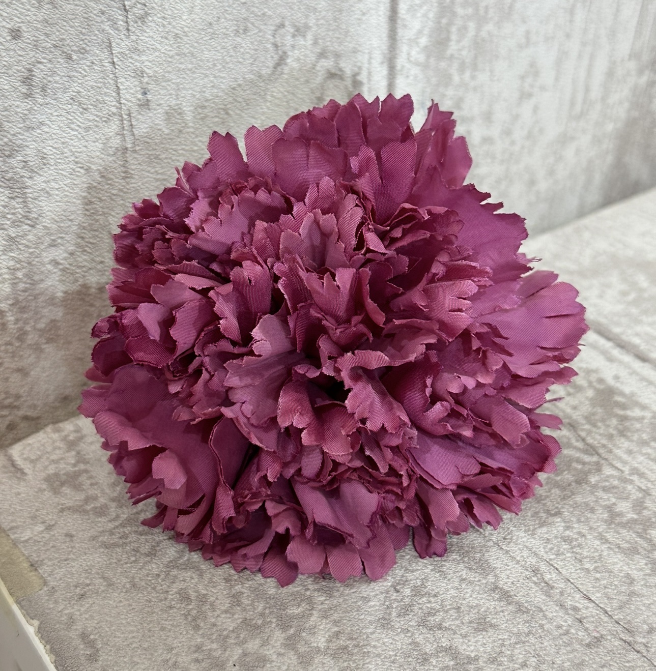 Flores Claveles - Imagen 2