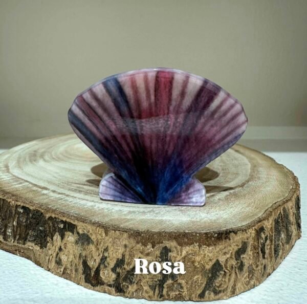 Pinza Concha - Imagen 3