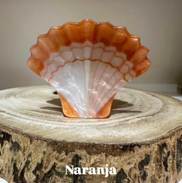 Pinza Concha - Imagen 5