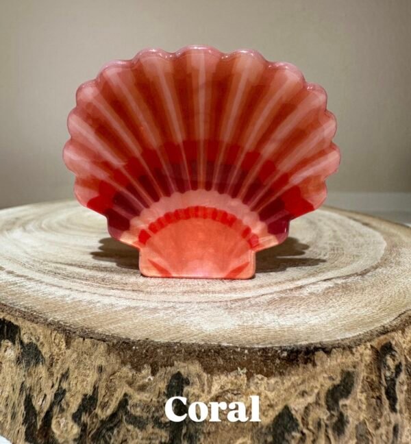 Pinza Concha - Imagen 6