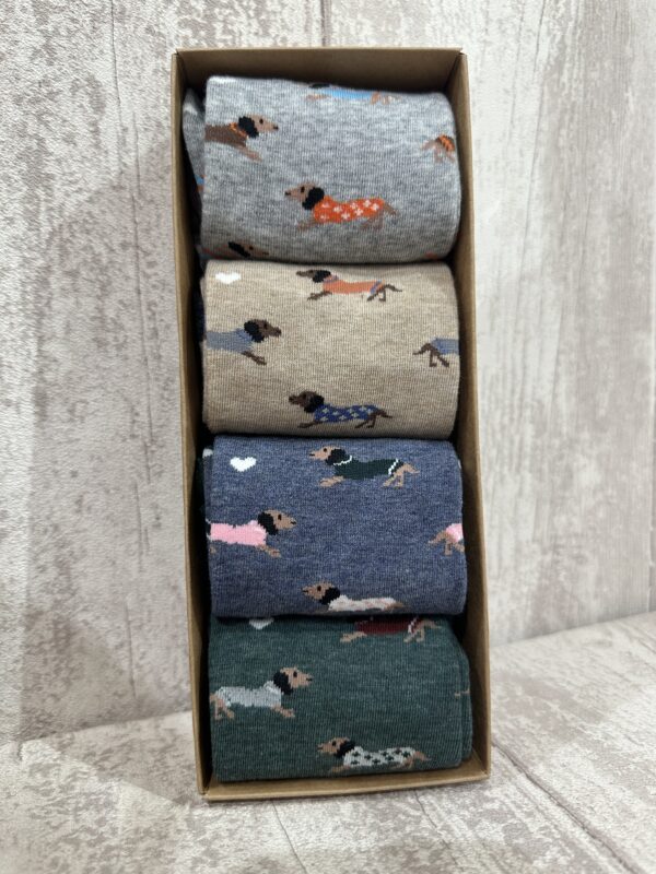 Pack Calcetines - Imagen 3